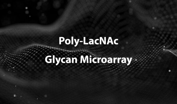 Poly – LacNAc Glycan Array