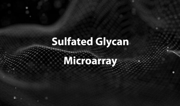 Sulfated Glycan Array