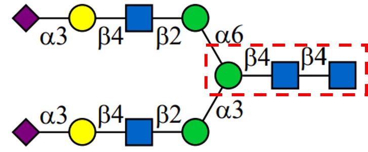Binding Image