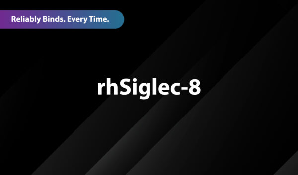 Recombinant Human Siglec-8 (rhSiglec-8)
