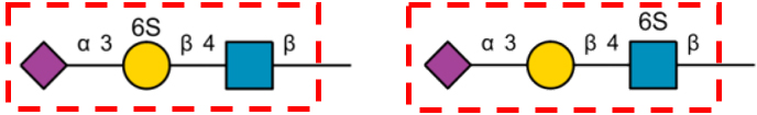 Binding Image
